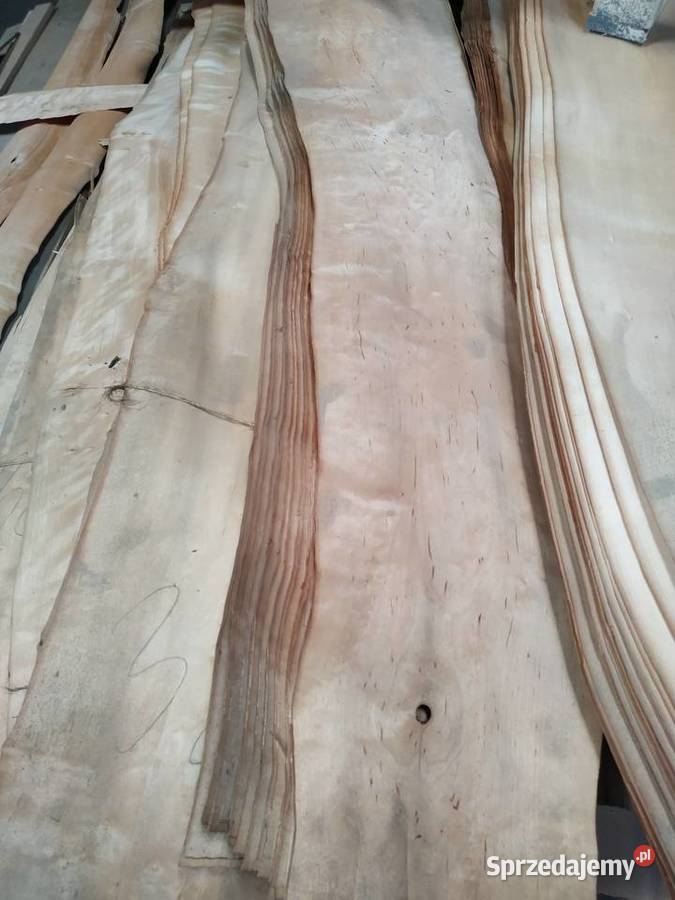 Fornir okleina naturalna olcha wielkopolskie Brzeźno