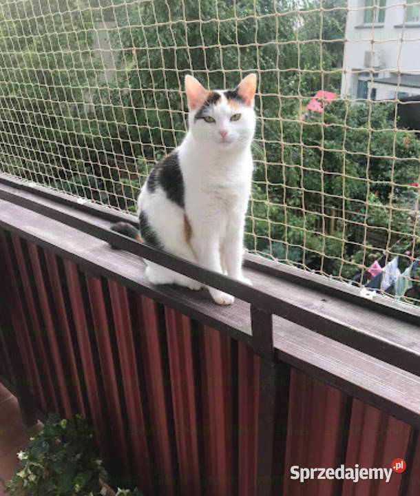 Siatka na balkon montaż Warszawa