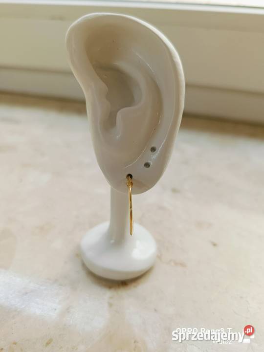 Złote Nowe kolczyki płaskie śred19mmpr585 Wałcz