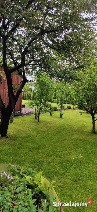 Sprzedam działkę rekreacyjną ROD Maciejka Wrocław