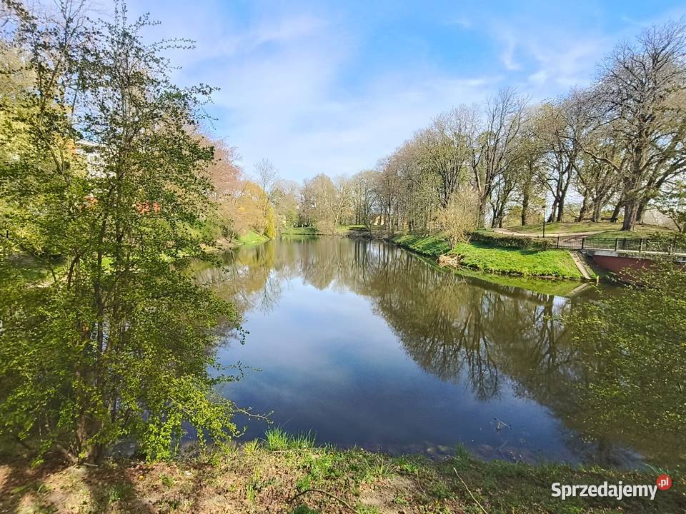 Apartament Parkowy Kaliska 6 os pies Apartamenty i mieszkania Kołobrzeg