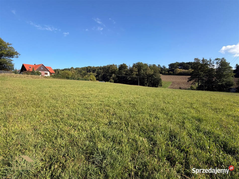 Sprzedaż gruntu 890m2 Wilamowice śląskie sprzedam