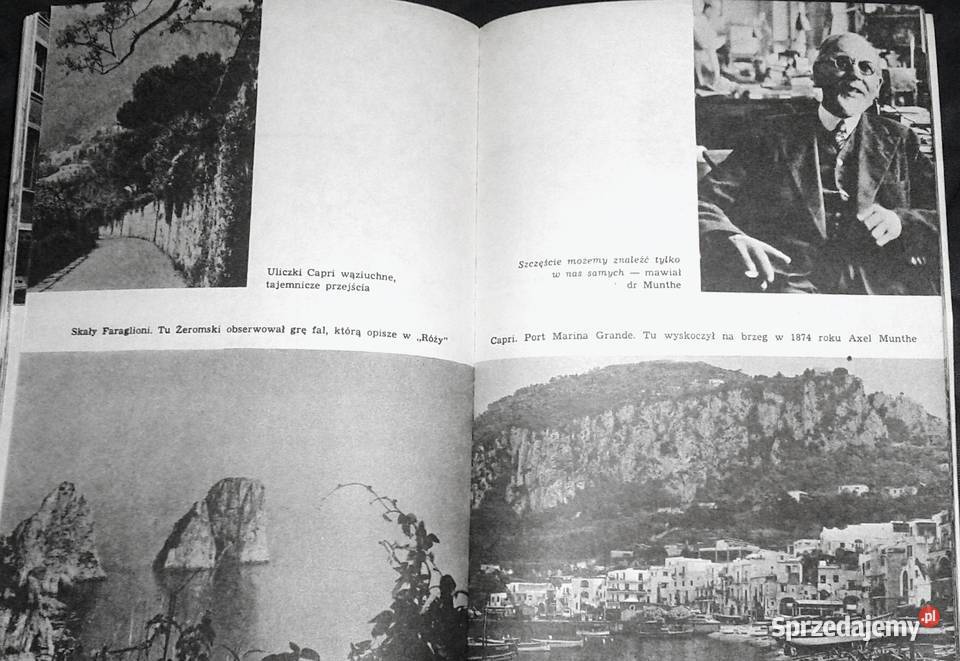 Malwy na lewadach Barbara Wachowicz Chełm