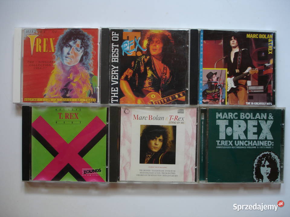 TREX płyty CD Zielona Góra