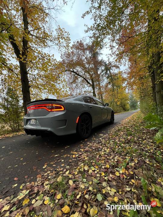 Dodge Charger 36 rwd 2021r 4/5 Izbica Kujawska