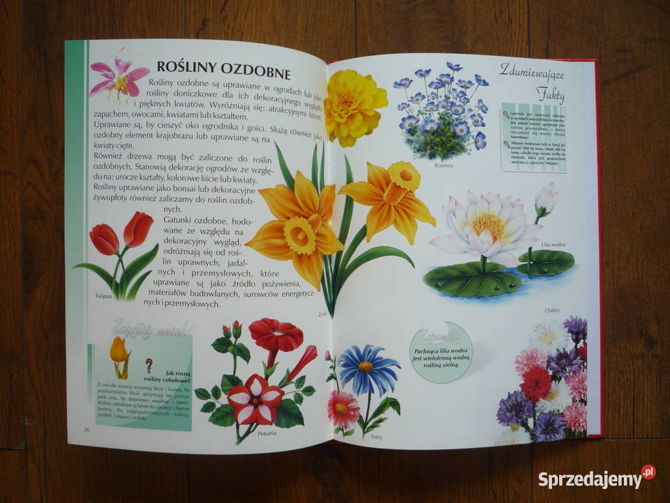 NOWA Ilustrowana encyklopedia Rośliny Książka Szczecin