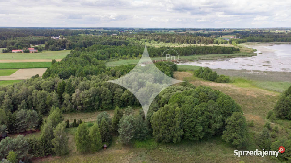 Działka rolnobudowlana j Tajno Orzechówka Sprzedaż