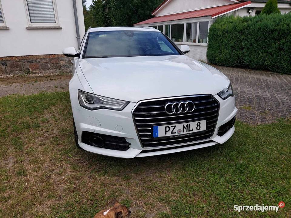 Audi A6 C7 Audi Centrum Berlin A6 zachodniopomorskie Szczecin