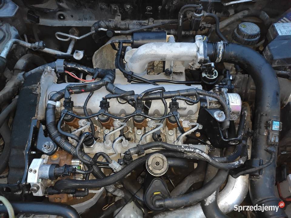 Silnik F9k 19 DCI 2004r volvo Części samochodowe Ciotusza Nowa sprzedam