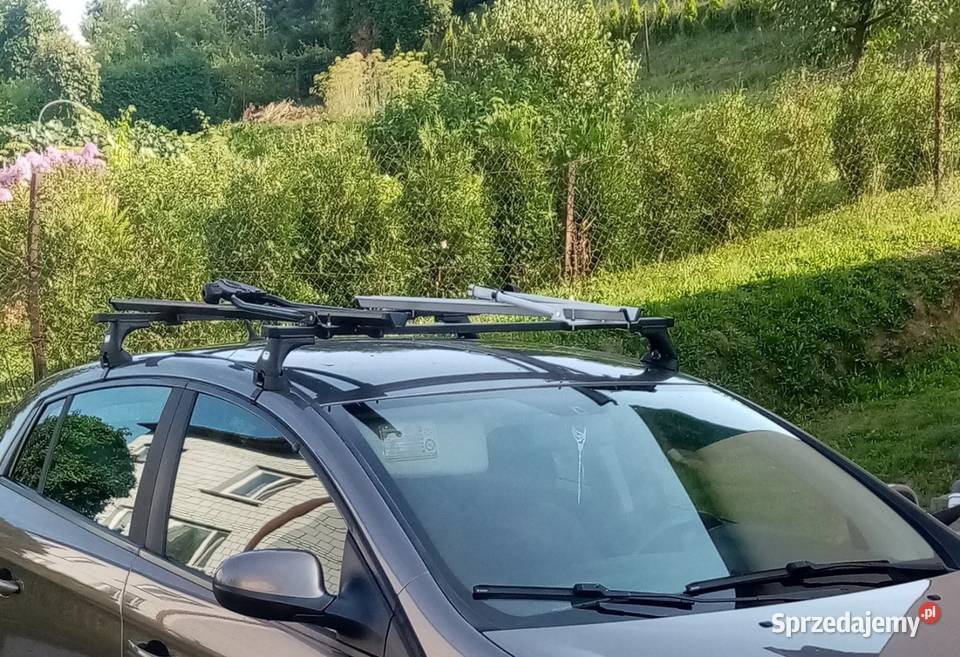 Belki dachowe amos Krosno