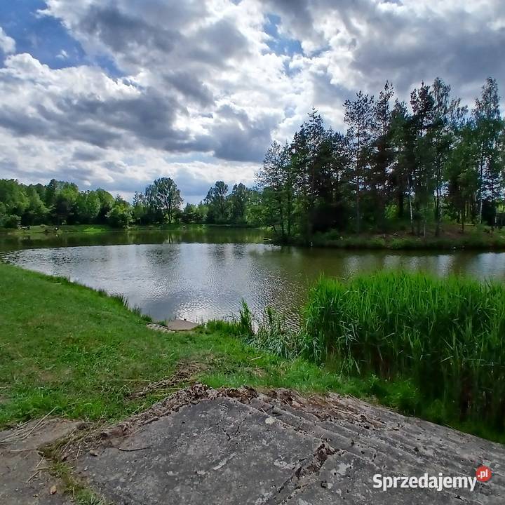 Działka z WZ 1000 m Częstochowa Stradom