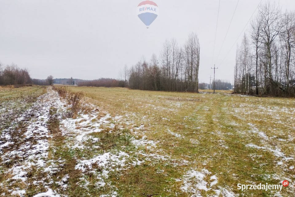 Działka siedliskowa 318 ha Pieńki Zarębskie