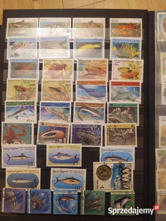 40 ZESTAW ZNACZKÓW 1200 SZTUK 4 KLASERY MIX łódzkie Łódź sprzedam