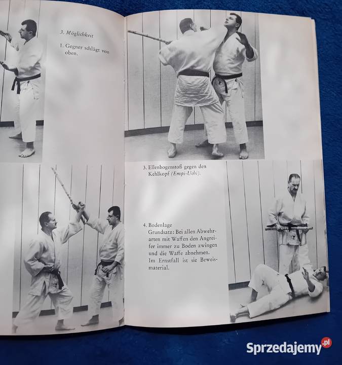 Alfred Hasemeier KarateSpitzenklasse Hoche Koźminek