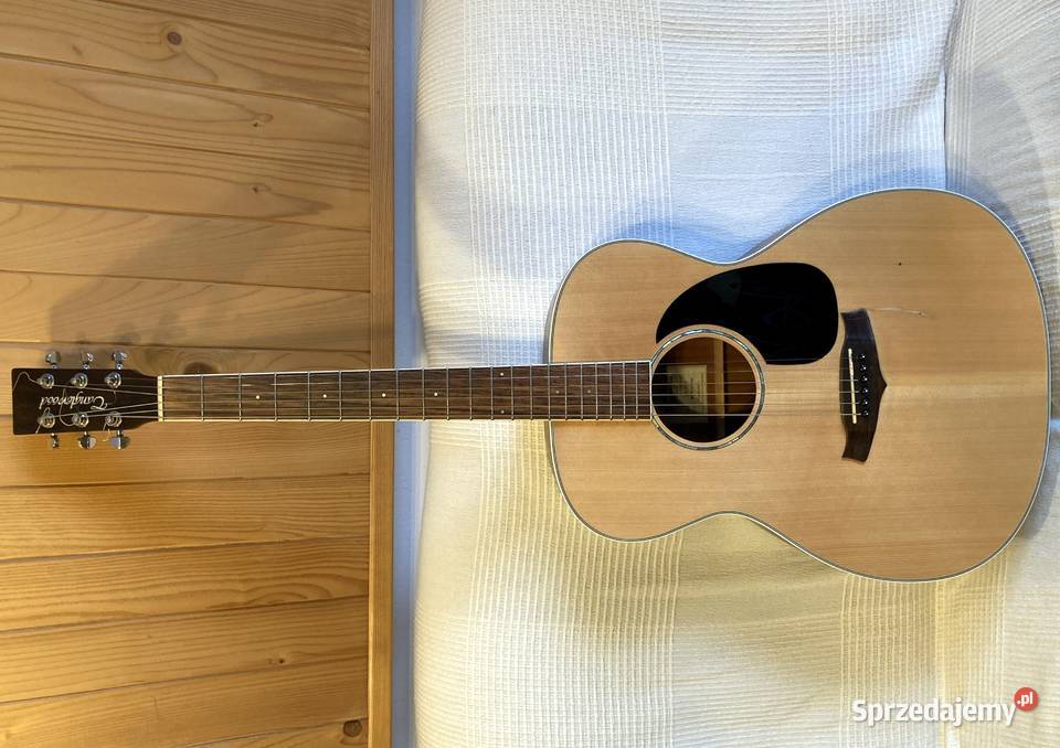 GITARA AKUSTYCZNA Tanglewood TPEFZS Szczecin