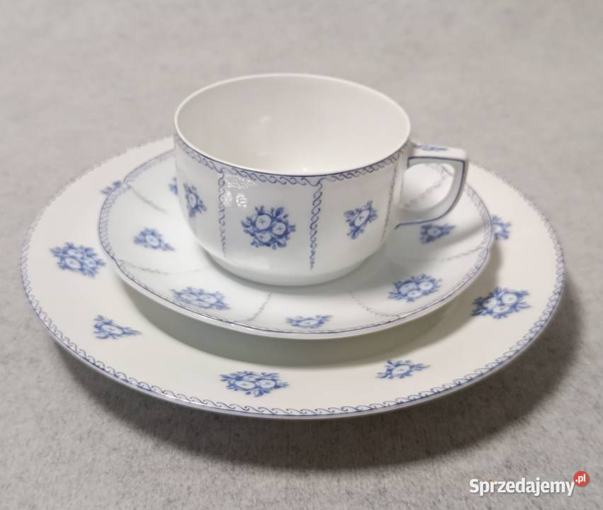 Thomas Rosenthal Art Nouveau Filiżanka
