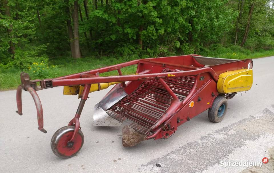 Kopaczka do ziemniaków Elewatorowa AGROMET małopolskie Dąbrowa Tarnowska