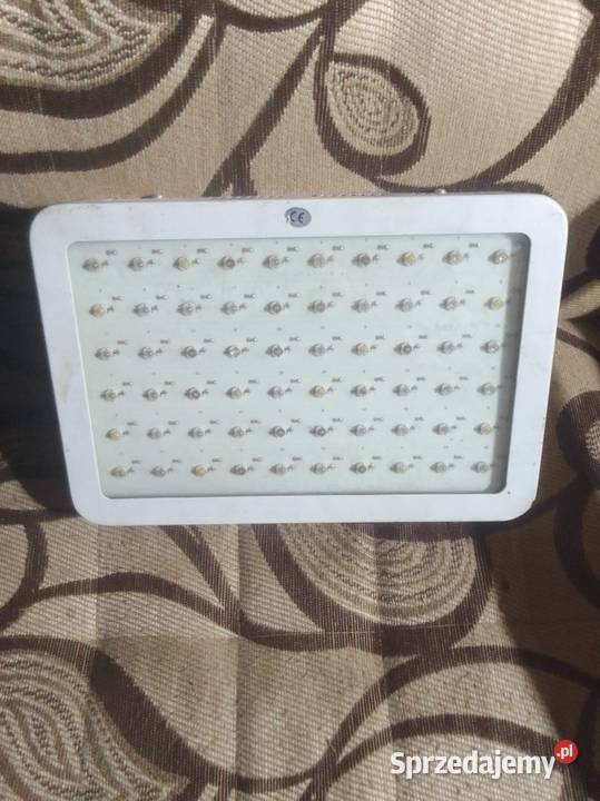 Lampa LED Power Ligcht 600w do Uprawy Roślin dolnośląskie Oleszna