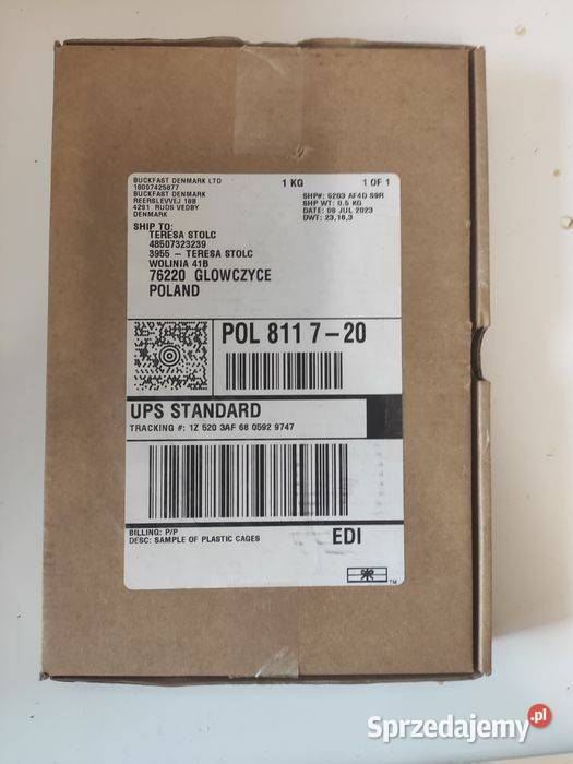 51 Buckfast KB matki pszczele jednodniówki