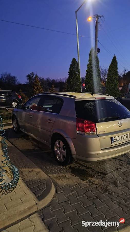 Opel Signum Grotniki