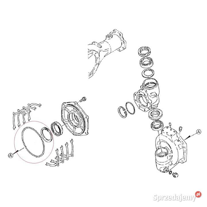 ORing 270 x 190 mm Yanmar EF352T 19455613790 Tajęcina