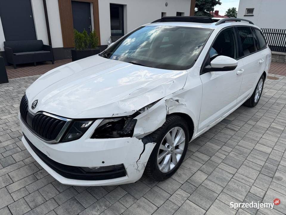 Dsg Tanio Turek