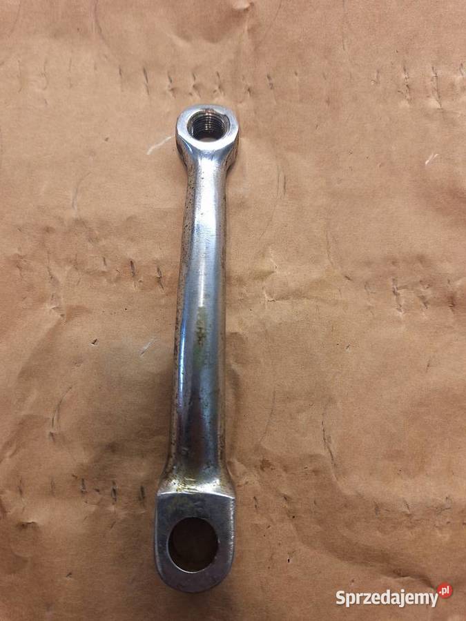 Komar sztywniak korby Krzywcza