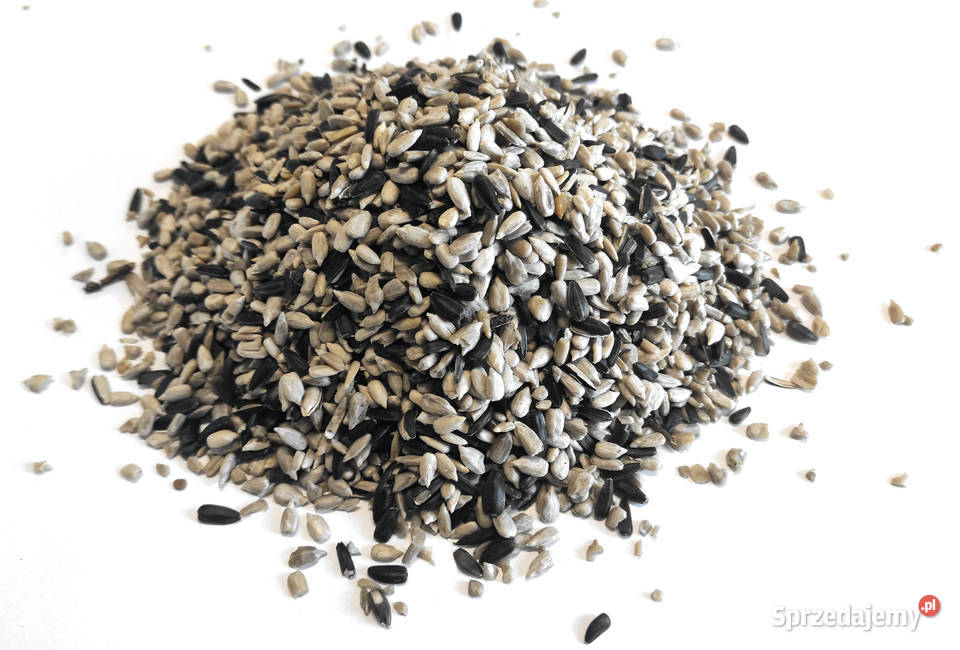 Słonecznik ptaków 90 łuskany 30 karma Cieszyn