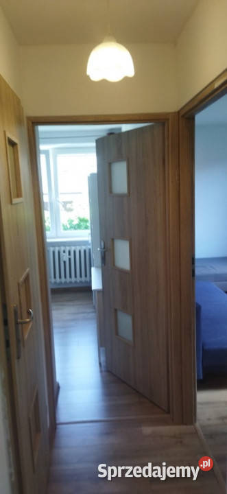Gdańsk Oliwa 3 pokoje AWF Idealne studentów
