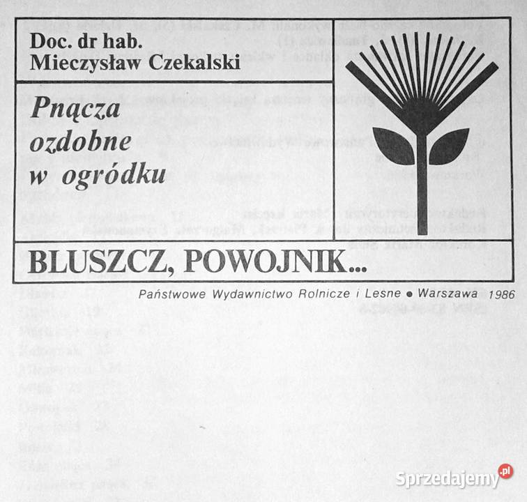 Pnącza ozdobne w domu Bluszcz powojnik Chełm