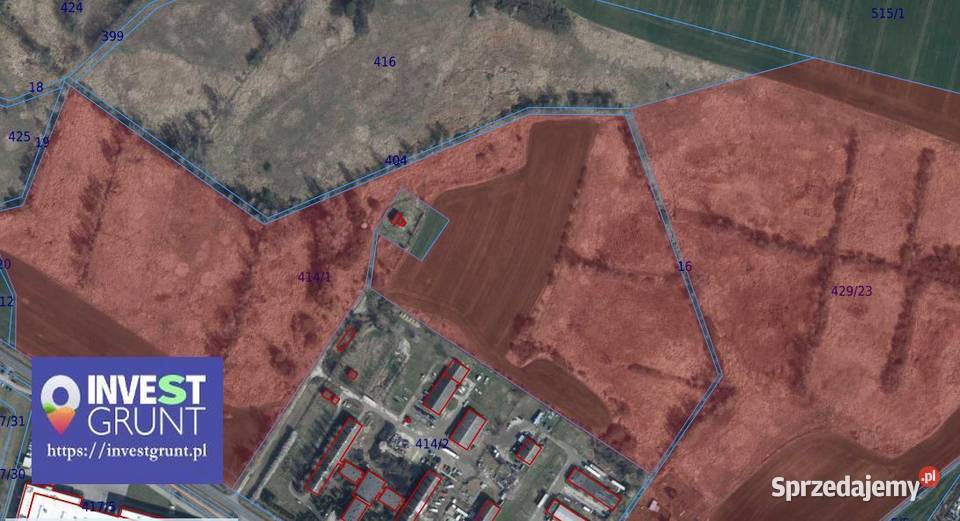 3319 ha grunty rolne przetarg na dzierżawę Nowa Wieś Legnicka