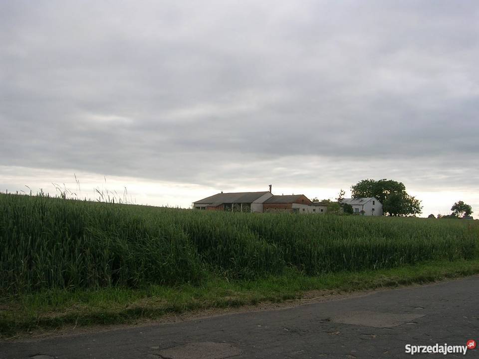 Sprzedam Siedlisko Kampinos