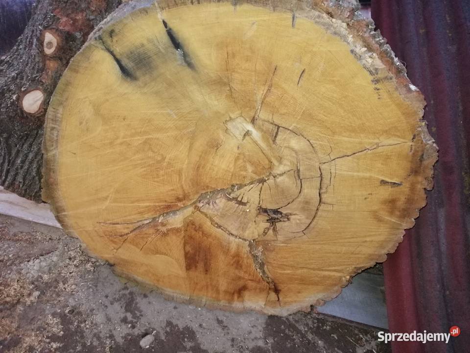 Stolik kawowy blat loft stół plaster dąb 1 metr Przysucha
