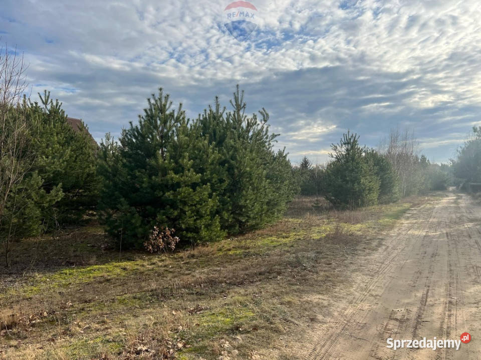 Działki budowlane Nowe Grochale