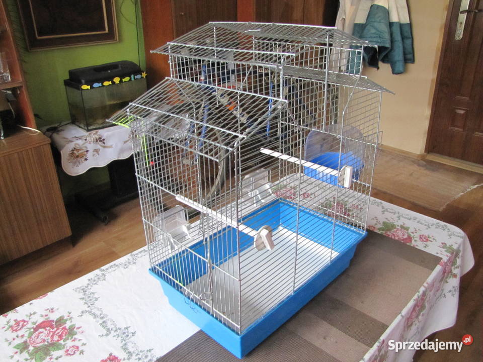 Klatka ptaków Toruń