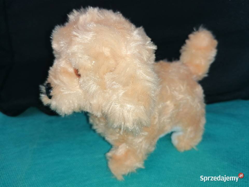 Piespiesek interaktywnyZabawkaPies chodzi Łódź