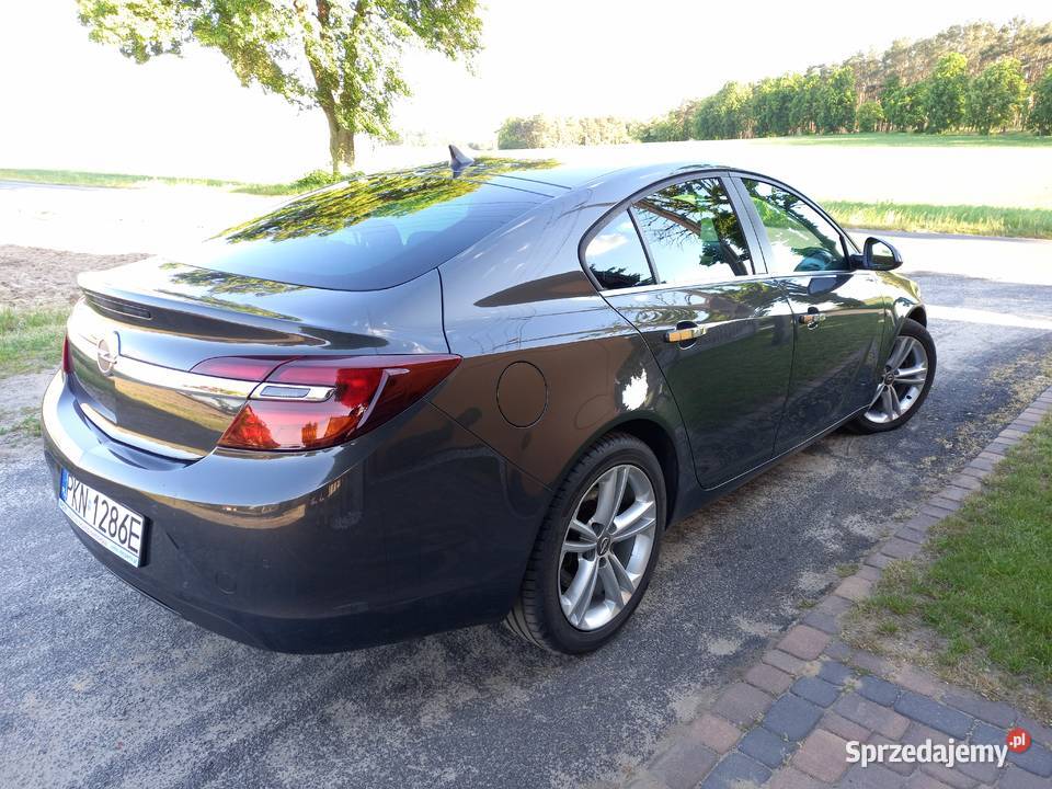 Opel Insignia A Lift 2014r Lubstówek