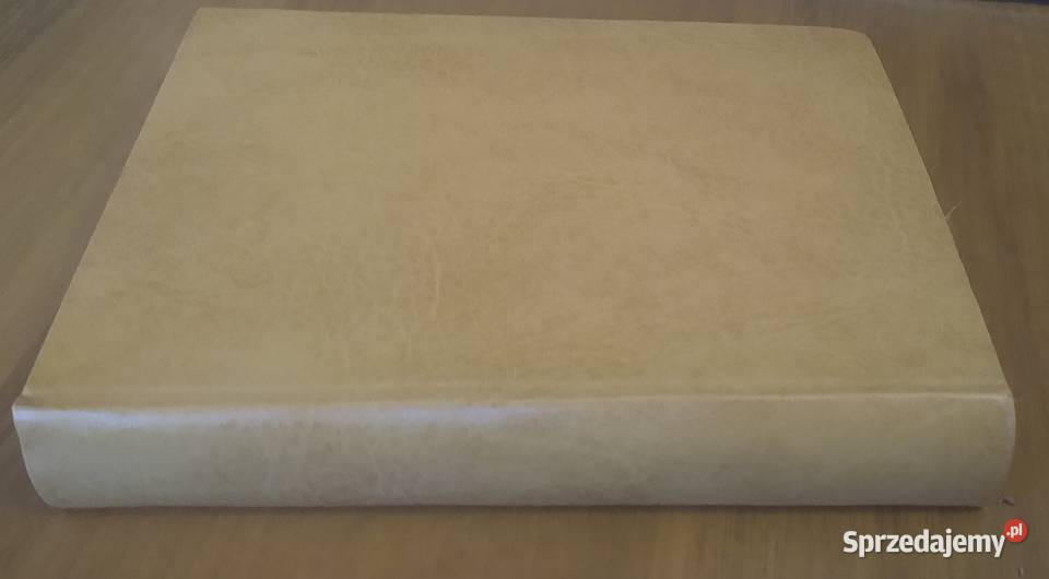 Bogowie groby i uczeni powieść o archeologii C W Gdańsk