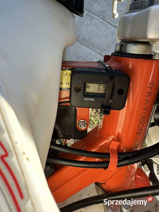 kayo k2 2023r Sędziszów