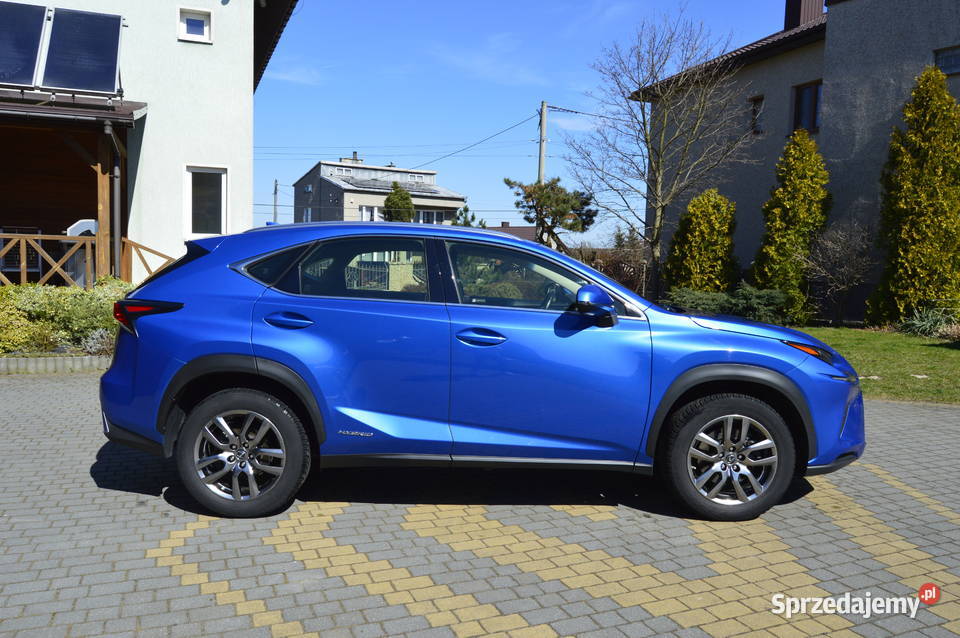 Lexus NX300h Pierwszy właściciel Salon Polska nieuszkodzony Siewierz