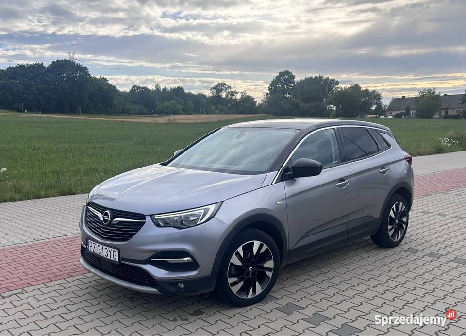 Opel grandland x czujnik parkowania Opel Poznań