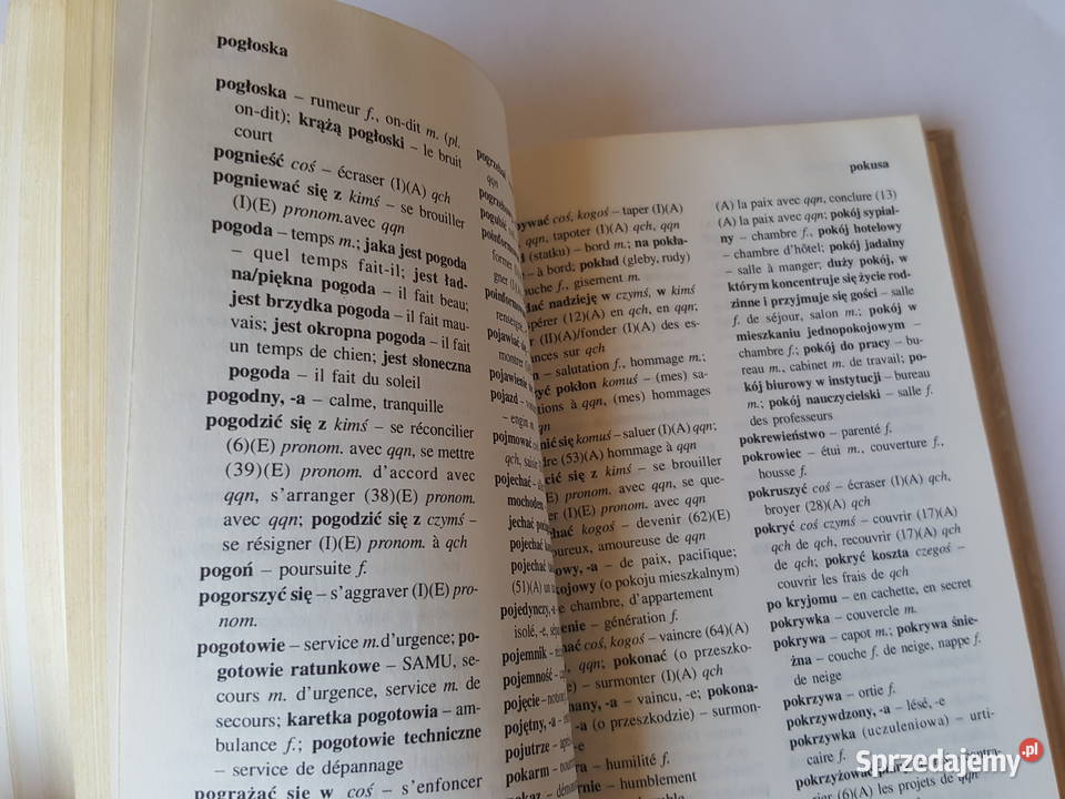 KSIĄŻKA Szkolny słownik polsko francuski Anna wielkopolskie Złotniki