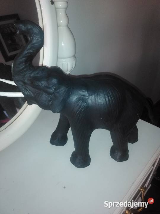 słoń naturalistycznie wyglądający Katowice