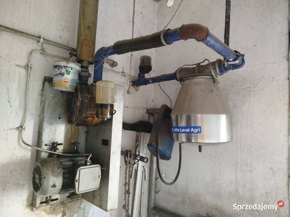 Dojarka przewodowa alfalaval likwidacja nieuszkodzony Grodzisk