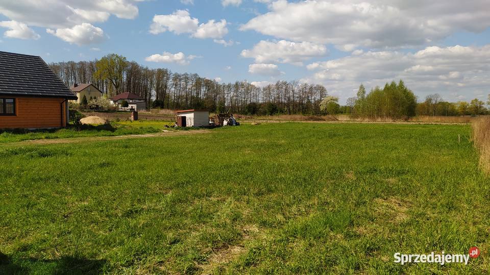 Sprzedaż działki w Mieszewie Murowanym mazowieckie