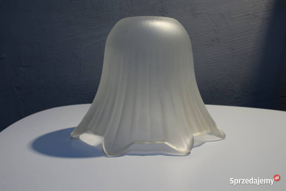 Stary klosz kwiat Pozostałe Wrocław