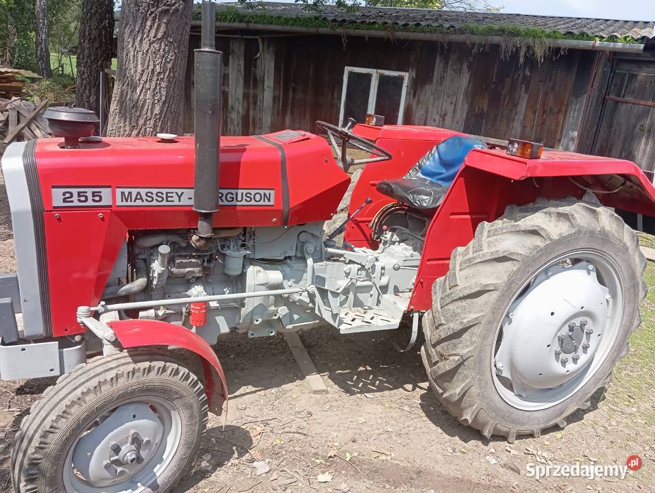 Massey Ferguson 255 Massey Ferguson małopolskie Bobowa sprzedam