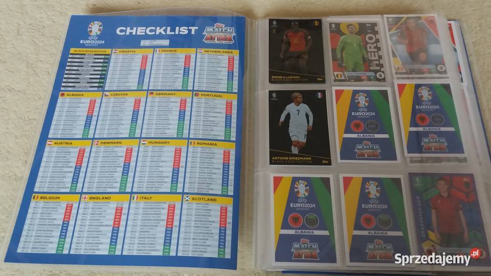 Duża Książka lata 60te Malarstwo ikony Atlas Płońsk