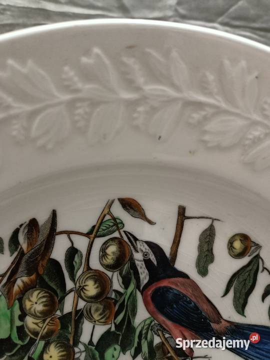 Talerz obiadowy birds America ilustra AUDUBONA Zamość