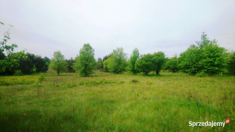 Sprzedam działkę budowlaną o pow 1093 m2 z Sprzedaż mazowieckie Popielżyn-Zawady